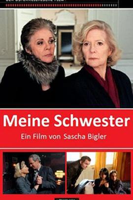 真相 Meine Schwester (2011) lan_guang海报