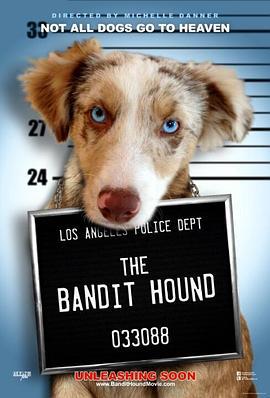 猎犬强盗 The Bandit Hound (2016)海报