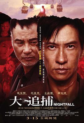 大追捕 (2012)海报