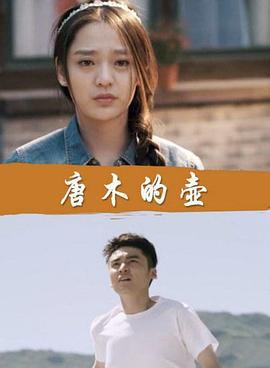 唐木的壶 (2016)海报