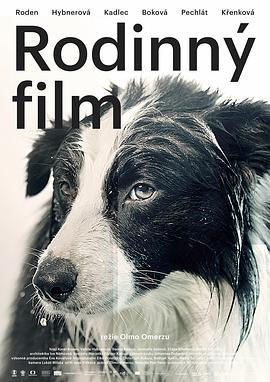 家庭电影 Rodinný film (2015)海报