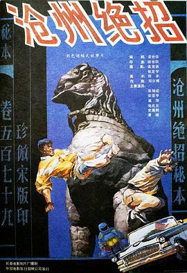 沧州绝招 (1991)海报