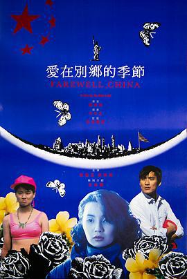 爱在别乡的季节 愛在別鄉的季節 (1990)海报
