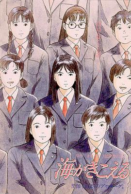 听到涛声 海がきこえる (1993)海报