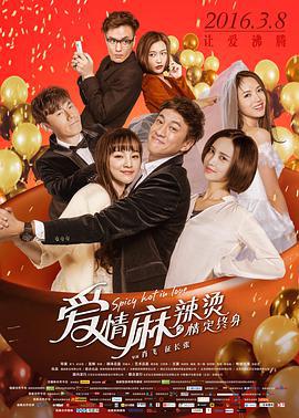 爱情麻辣烫之情定终身 (2016)海报