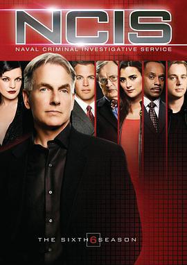 海军罪案调查处 第六季 NCIS: Naval Criminal Investigative Service Season 6 (2008)海报