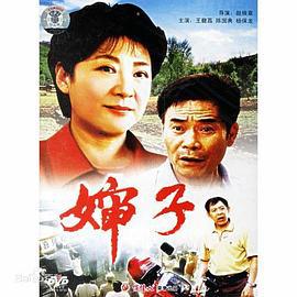 婶子 (2003)海报