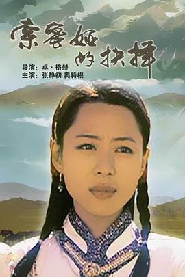 索密娅的抉择 (2003)海报