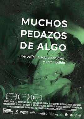 爱在西班牙 Muchos pedazos de algo (2015)海报