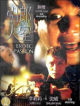 引郎入室 (1993)海报