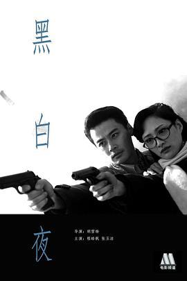 黑白夜 (2011)海报