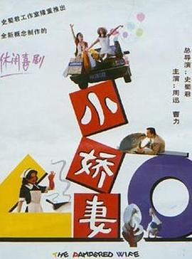 小娇妻 (1996)海报