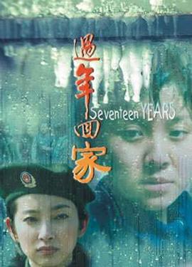 过年回家 (1999)海报
