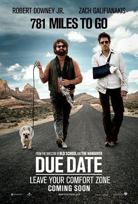 预产期 Due Date (2010)海报