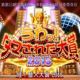 整人大赏2015 うわっ!ダマされた大赏 2015 (2015)海报