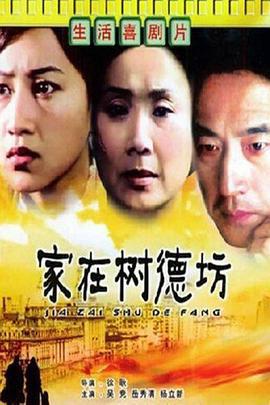 家在树德坊 (2001)海报