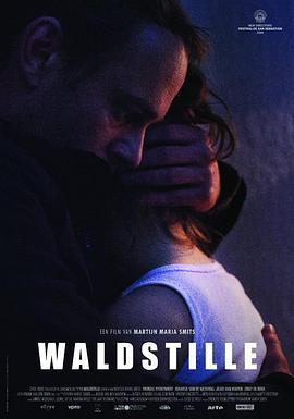 意外 Waldstille (2016)海报