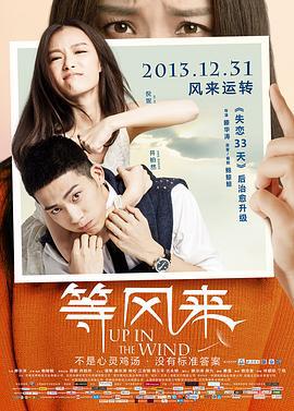 等风来 (2013)海报