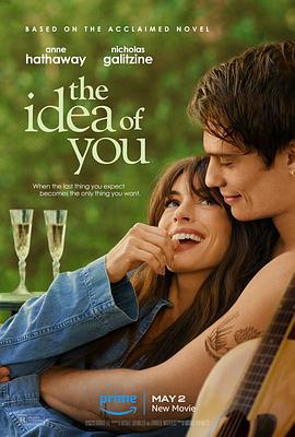 对你的想象 The Idea of You (2024) qiang_xian_ban海报