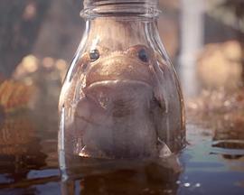 困住了 Locked up (2014)海报