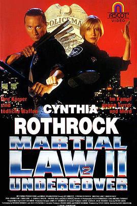 卧底飞龙2 Martial Law II: Undercover (1992)海报