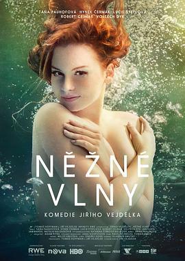 柔浪 Něžné vlny (2013)海报