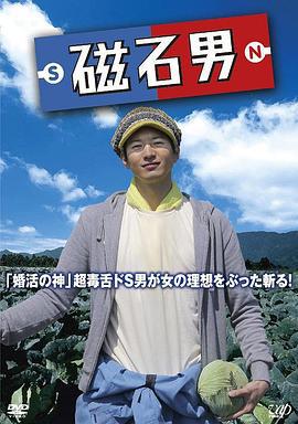 磁石男 (2014)海报