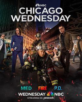 芝加哥急救 第十季 Chicago Med Season 10 (2024)海报
