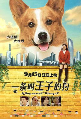 一条叫王子的狗 (2016)海报