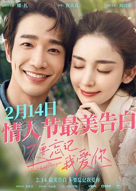 不要忘记我爱你 (2022)海报