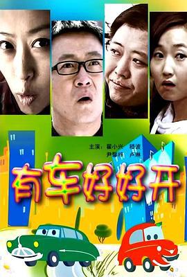 有车好好开 (2010)海报
