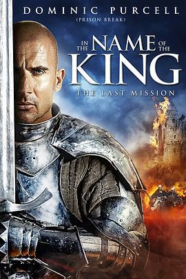 地牢围攻3 In the Name of the King III (2014)海报