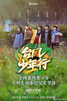 台风少年行 (2019)海报