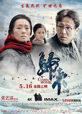 归来 (2014)海报