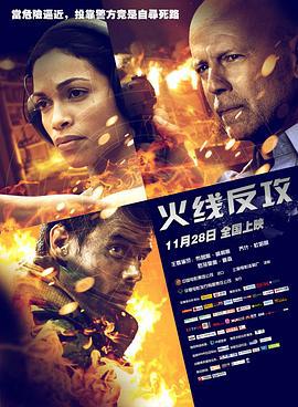 火线反攻 Fire with Fire (2012)海报
