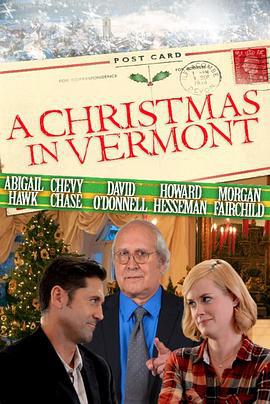 圣诞遇到爱 A Christmas in Vermont (2016)海报