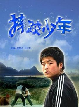 摔跤少年 (2006)海报