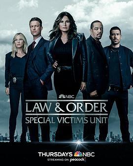 法律与秩序：特殊受害者 第二十四季 Law & Order: Special Victims Unit Season 24 (2022)海报