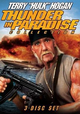 天堂的雷霆 Thunder in Paradise (1993)海报