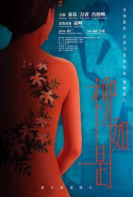 柳如是 (2012)海报