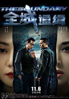 全城通缉 (2014)海报