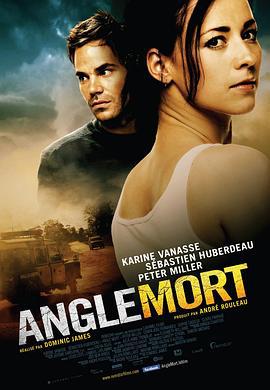 盲点 Angle mort (2011)海报