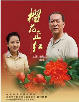 榴花正红 (2011)海报