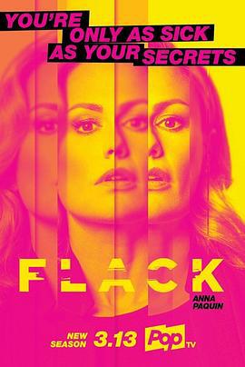 公关 第二季 Flack Season 2 (2020)海报