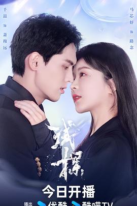 试探 (2024)海报