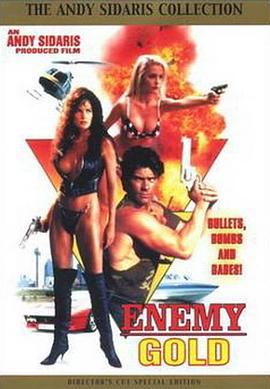 执法女先锋 Enemy Gold (1993)海报