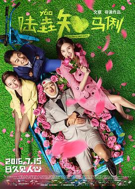陆垚知马俐 (2016)海报