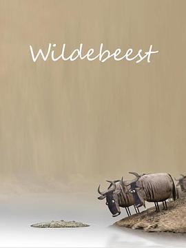 牛羚 Wildebeest (2012)海报
