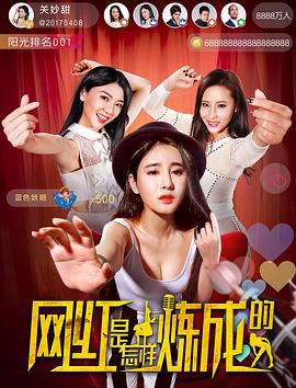 网红是怎样炼成的 (2017)海报