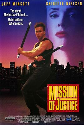 正义使者 Mission of Justice (1992)海报